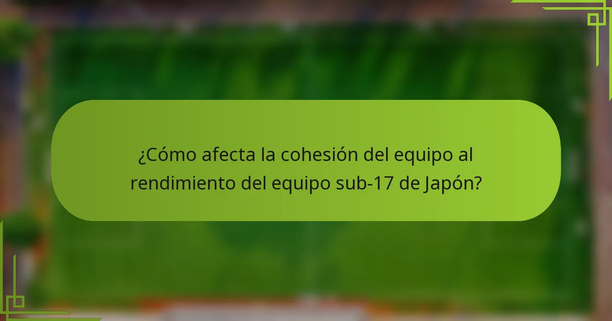 ¿Cómo afecta la cohesión del equipo al rendimiento del equipo sub-17 de Japón?