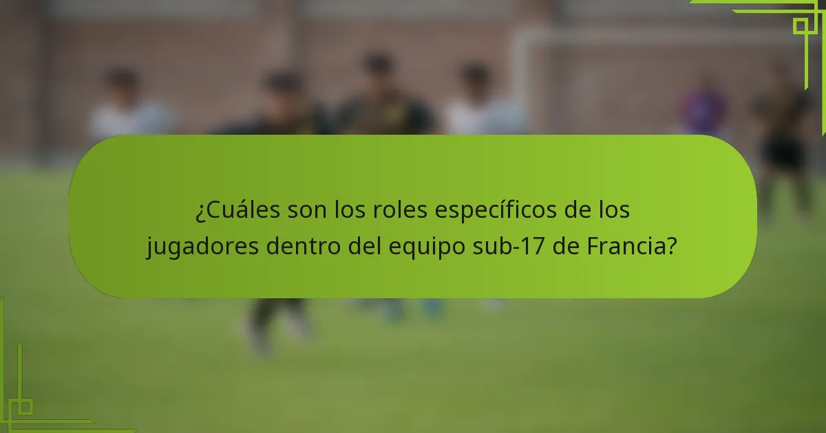 ¿Cuáles son los roles específicos de los jugadores dentro del equipo sub-17 de Francia?